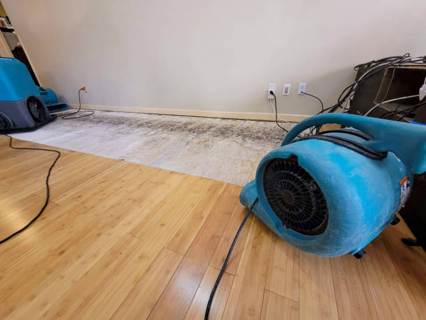 Professional Flood Damage Cleanup technician working in Preston, TX